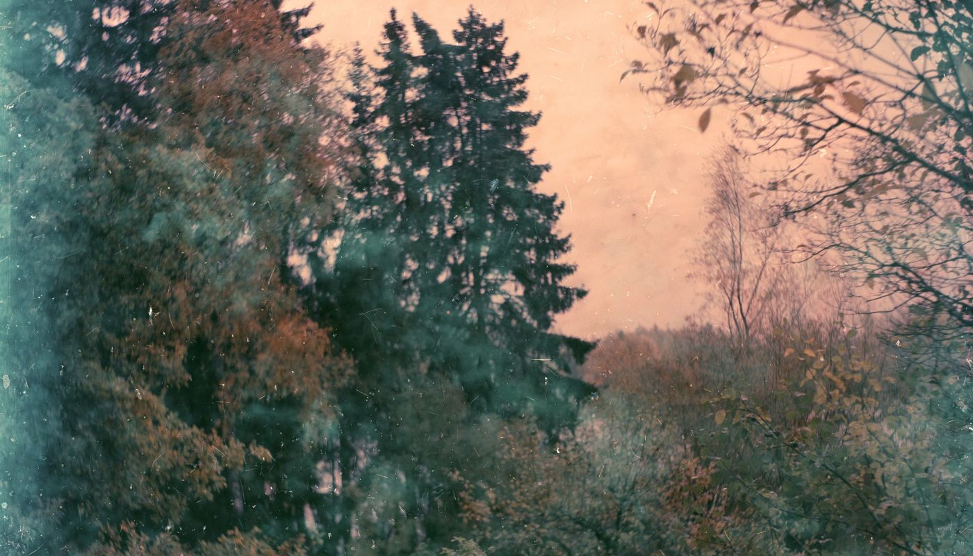 Sur le fil — Reunalla