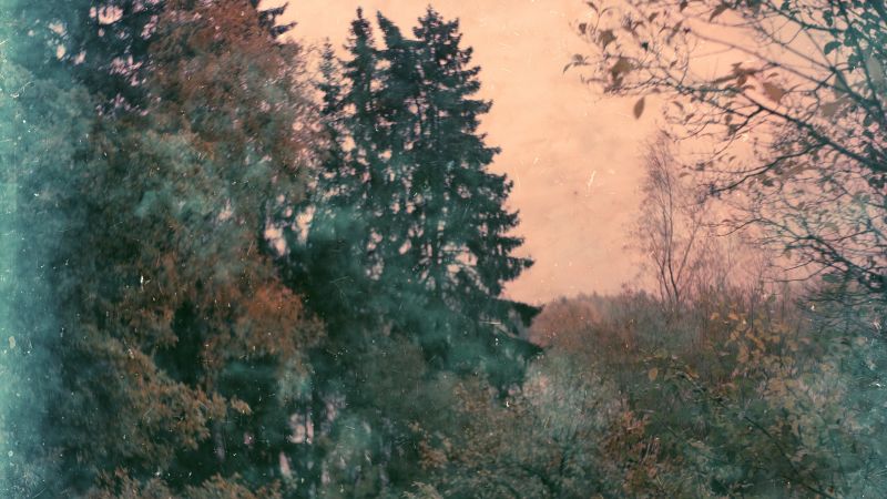 Sur le fil — Reunalla
