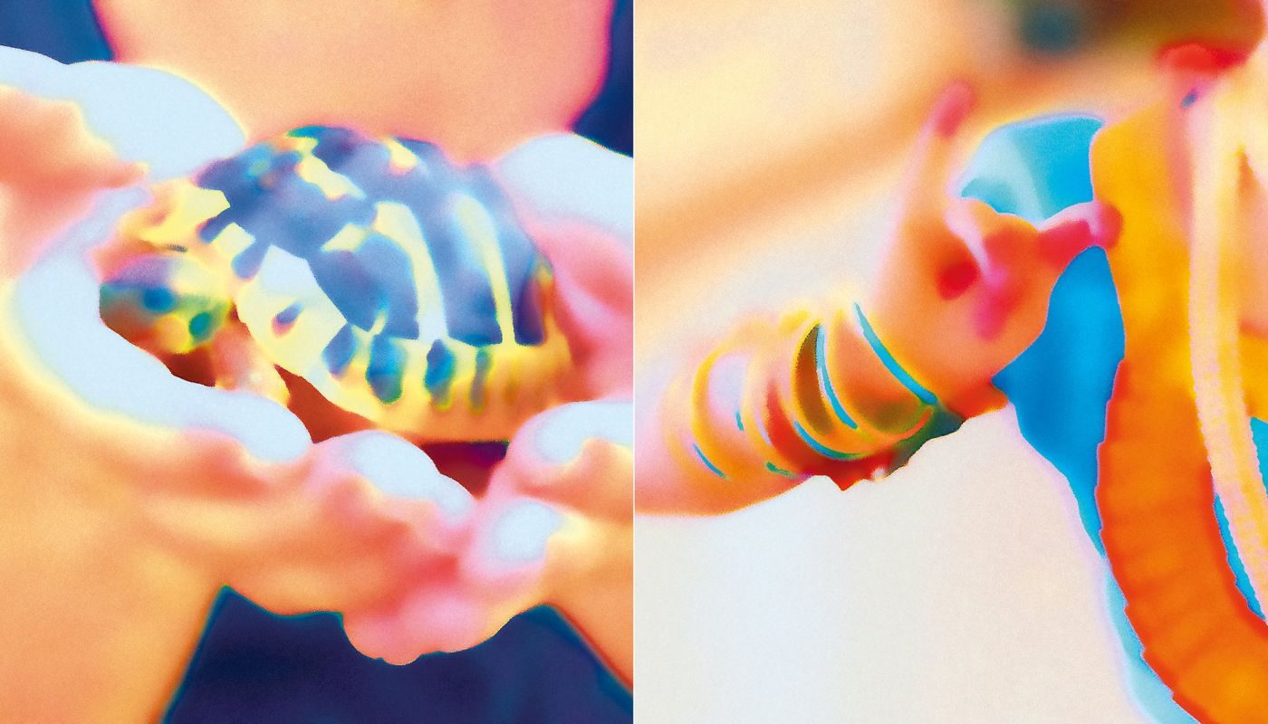 Présentation de saison