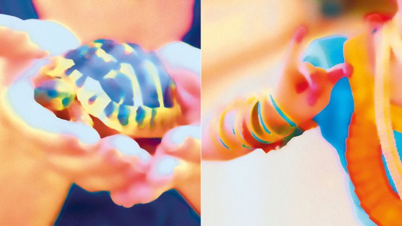 Présentation de saison