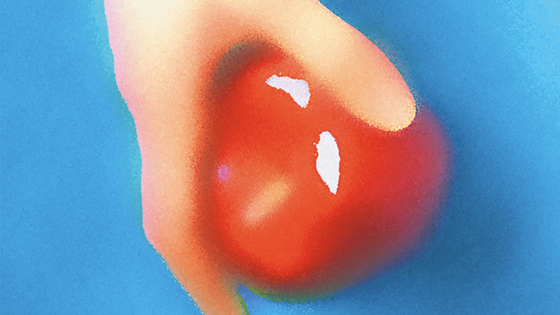 Présentation de saison